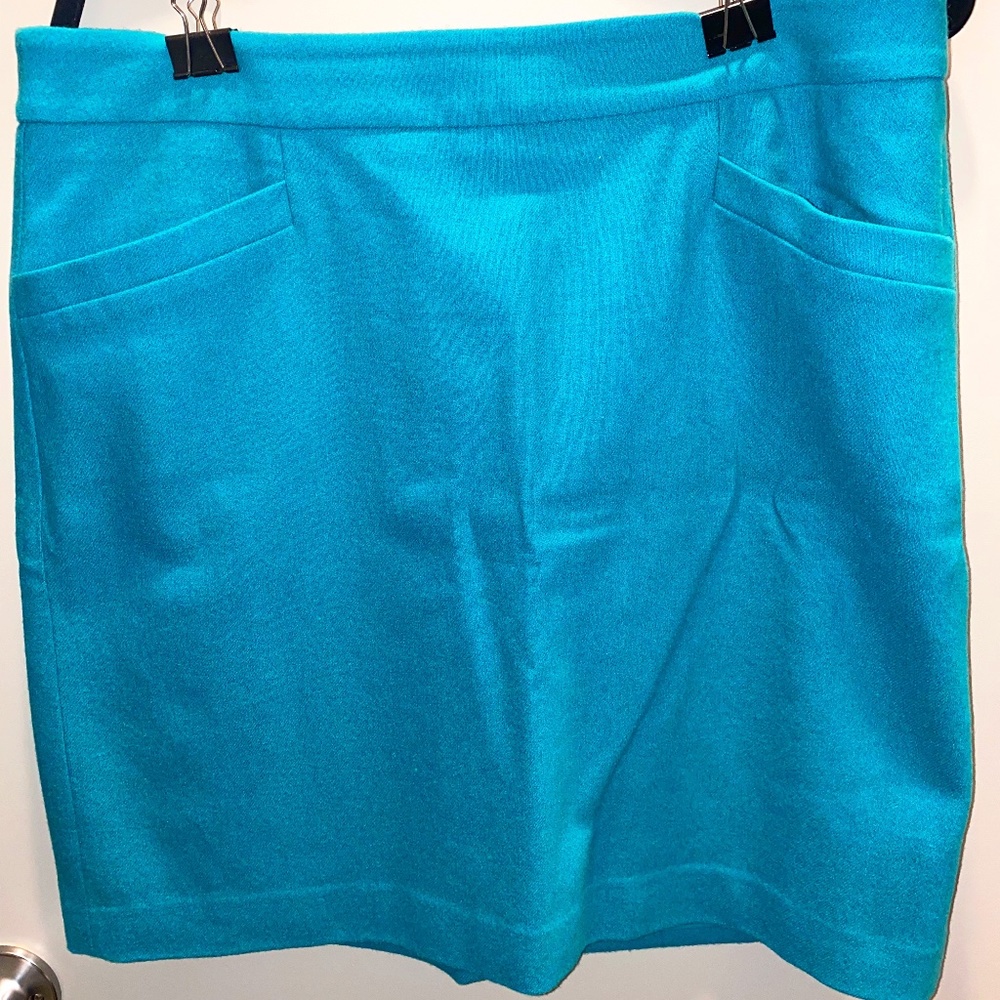 Ann Taylor Wool Skirt